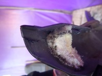 фото thumb №13, Renault vel satis 05- крила перед лівий передній 8200018521