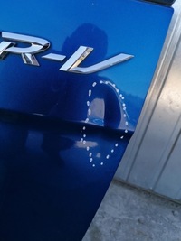 фото thumb №10, Крышка багажника багажника honda frv fr-v 05-09 цвет b520p