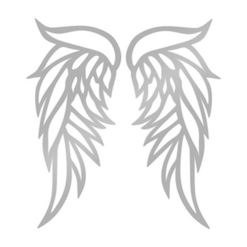 WINGS серебряный зеркальный настенный декор A207 60x56