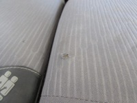 фото thumb №6, Сидіння правий перед peugeot partner iii 08-18 r.