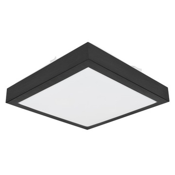 Светильник Настенный потолочный светильник Plafon 2x E27 LED