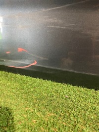 фото thumb №4, Дверь передние правое skoda kamiq