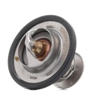 фото thumb №1, Термостат ridex 316t0543