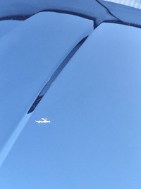 фото thumb №3, Maserati grecale капот комплектна демонтаж