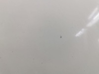 Porsche cayenne 92a 2011 кришка передня / капот двигуна в Україні, фото thumb