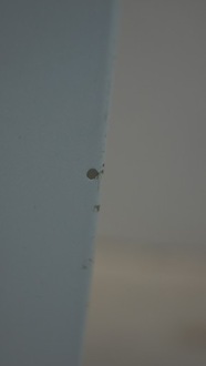 фото thumb №13, Двері лівий перед suzuki swift mk6 3d