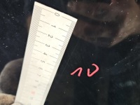 Капот передня porsche cayenne 2 10-17 чорний Недорого, фото thumb