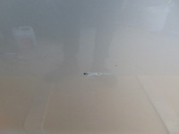 фото thumb №8, Дверь левая раздвижные с стекло hyundai h1 2007-