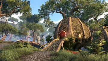 КЛЮЧ THE ELDER SCROLLS ONLINE XBOX ONE/SERIES X|S