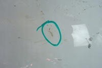 фото thumb №11, Renault clio v 2019- кришка капот двигуна 651224027r