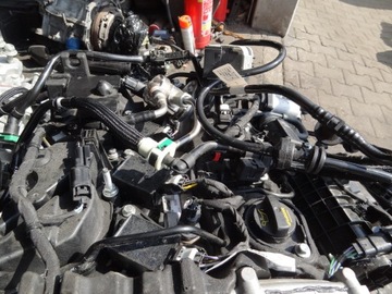 фото thumb №10, Ford transit courier iii mk3 2024 1,0 ecoboost двигатель b7nb оригинал