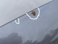 фото thumb №3, 664002p500 капот kia sorento ii