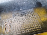 Opel zafira d vivaro c бампер перед 6pdc 9833129877 Недорого, фото thumb