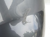 фото thumb №5, Бампер bmw x2 f39 18-21 задняя pdc m-pakiet