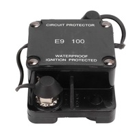 фото thumb №12, Автомобільний запобіжник автоматичний 100a 32v