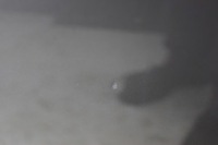 фото thumb №5, Капот крышка двигателя peugeot 308