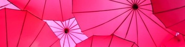 CLARESA HYBRID LARK PINK ОТТЕНКИ РОЗОВОГО КОЛЛЕКЦИЯ РОЗОВЫЙ 511