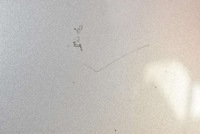 фото thumb №6, Кришка багажника багажника задня задня срібляста mazda 6 1 i gg sedan 02-05