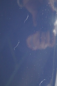 фото thumb №8, Крило правий перед ford fusion + plus рестайлінг org la