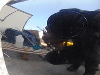 фото thumb №9, Крышка багажника багажника volvo xc60 ii 2017-