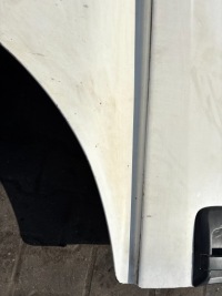 фото thumb №13, Двері ліві man tgx