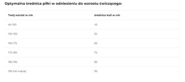 Мяч для фитнеса и гимнастики inSPORTline Top Ball 55 см Фиолетовый ДО 600 КГ