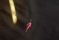 фото thumb №6, Крышка багажника зад задняя чёрная tesla модель s 12-20