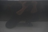 фото thumb №9, Audi a5 8t sportback рестайлинг дверь правые перед передние lx7r