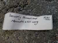 фото thumb №6, Ideal провода тормозные mercedes w223 long 1