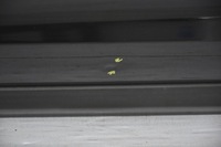 фото thumb №3, Двері передні перед ліва hyundai santa fe ii eb