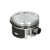 фото thumb №1, Поршень nural