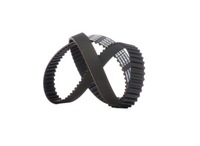 фото thumb №13, Stark sktib-0780009 ремень распределительного вала do ford fiesta mk6 schrägheck ja8, jr8