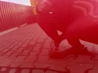 фото thumb №9, Nissan juke f15 двері правий перед праве передні nah