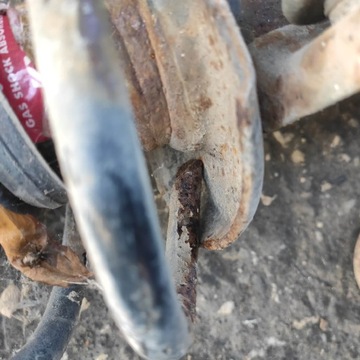 фото thumb №9, Поворотна опора лівий перед амортизатор vw passat b6 2.0tdi