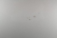 фото thumb №11, Капот крышка двигателя audi a3 8p 03-04 малый решётка радиатора