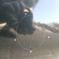 фото thumb №11, Кришка багажника задня задня nissan leaf 10-17 nowa оригінальна