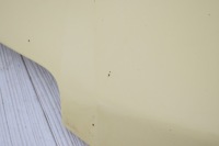 фото thumb №3, Капот кришка двигуна fiat panda ii