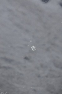 фото thumb №11, Volvo xc90 капот крышка отсек двигателя