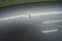 фото thumb №6, Капот крышка двигателя audi a8 d3