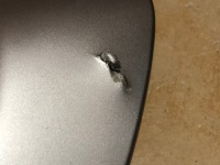 Ford оригинальный номер 8v41-17f765-acw спойлер бампера acw Доставка, фото thumb