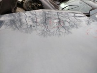 Капот citroen berlingo 3 ezwd Цена, фото thumb