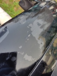 Бампер задній audi a6c5 універсал Недорого, фото thumb