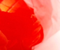 фото thumb №14, Новий org бампер задня vw arteon 3h r-line lc3j