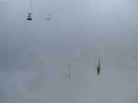 фото thumb №7, Двері ліві задні ford mondeo mk3 hb