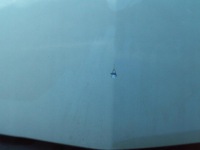 Opel insignia-a капот z30w в Украине, фото thumb