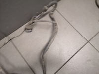 фото thumb №5, Жгут abs задняя vw phaeton 3.0 tdi 3d0927904m