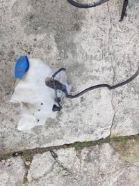 фото thumb №8, Vw golf 4 iv 3d капот кришка