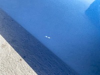 фото thumb №15, Mercedes c klasa w206 kombi дверь левая задние poznań giełda