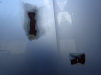 фото thumb №7, Капот крышка двигателя skoda scala 657 nw1 2019- 657823031