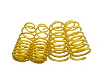 фото thumb №8, Набір пружина занижуючих audi a3 8l 92013/1